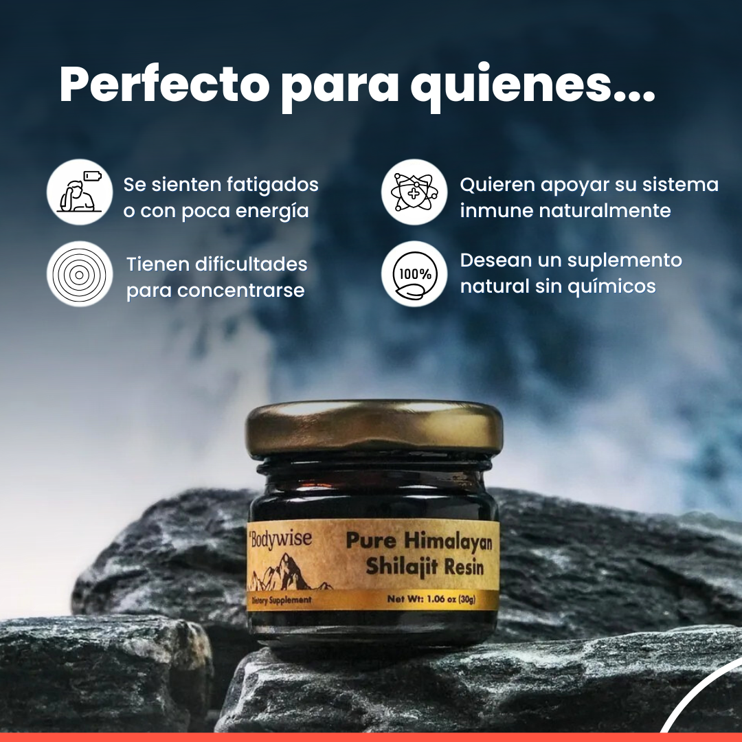 RESINA SHILAJIT DEL HIMALAYA