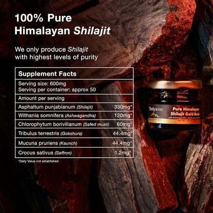 RESINA SHILAJIT DEL HIMALAYA